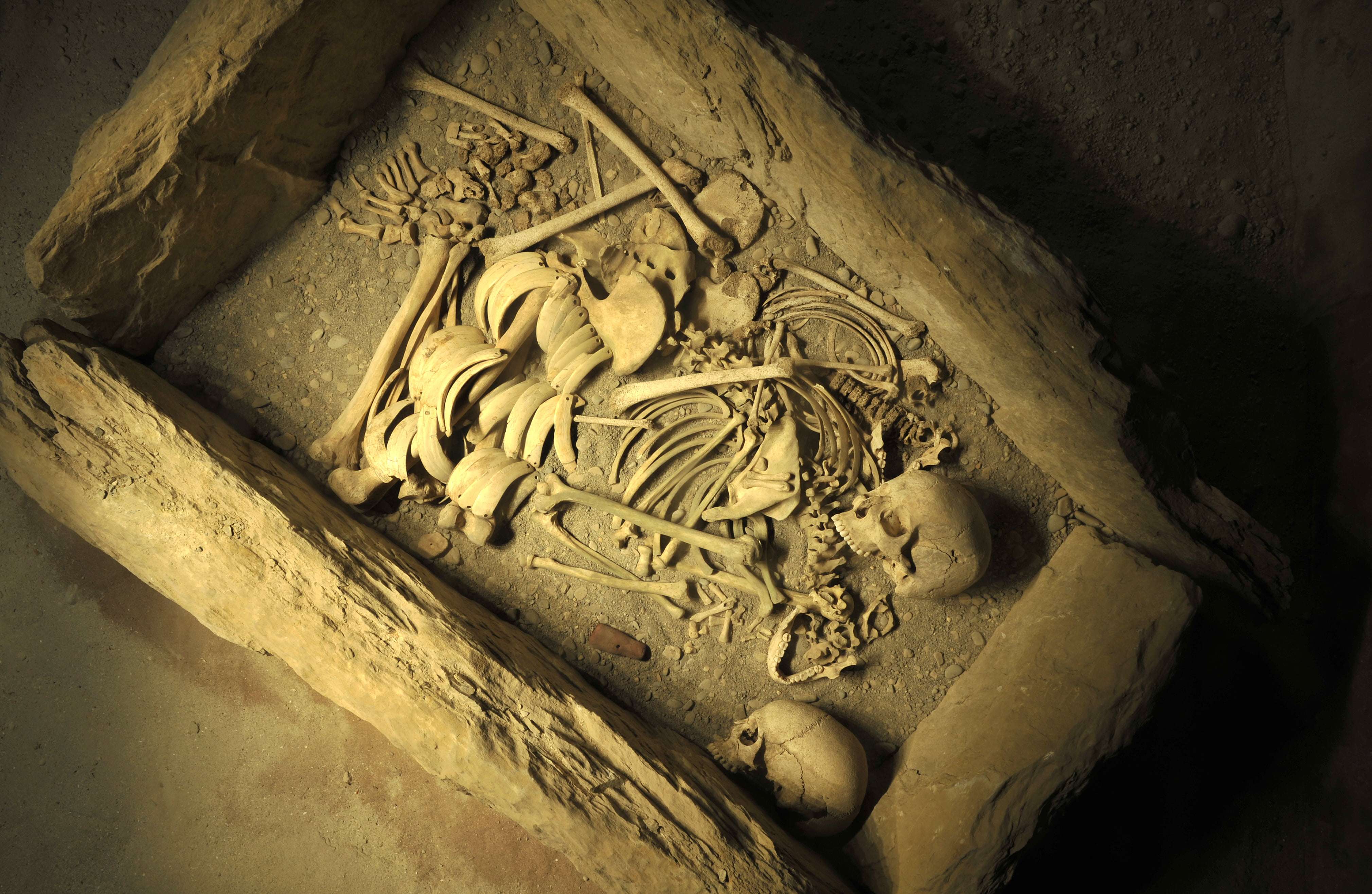 “Los crímenes de Atapuerca”. Capítulo 81